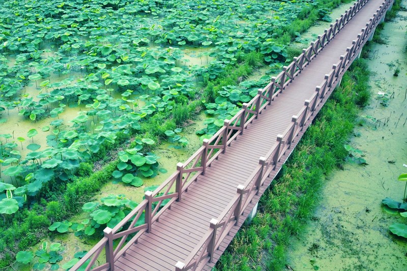 塑木地板案例